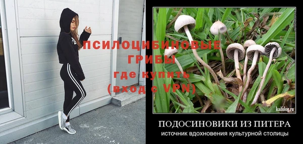экстази Лихославль