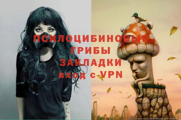 амф Липки