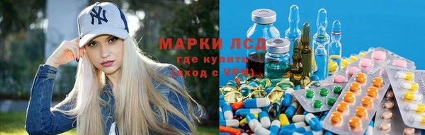 амф Липки
